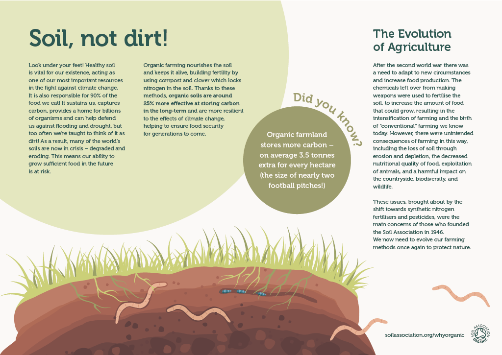 Board 2: Soil, not dirt!