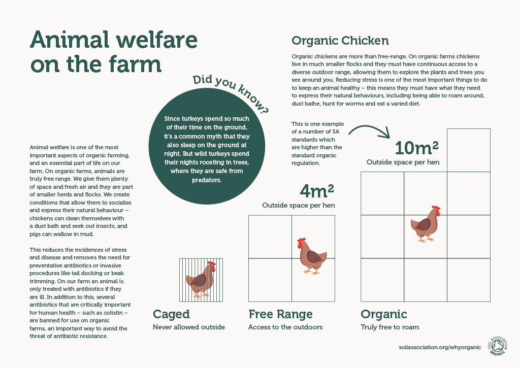 Board 4: Animal welfare on the farm