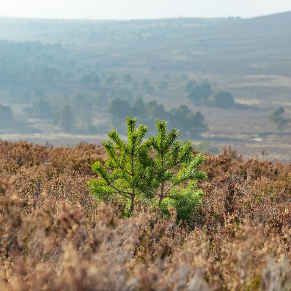 Combined Chain of custody and ISO course - Bristol, UK